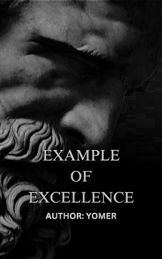 EXAMPLE OF EXCELLENCE: E-BOOK